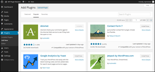 WP web site design